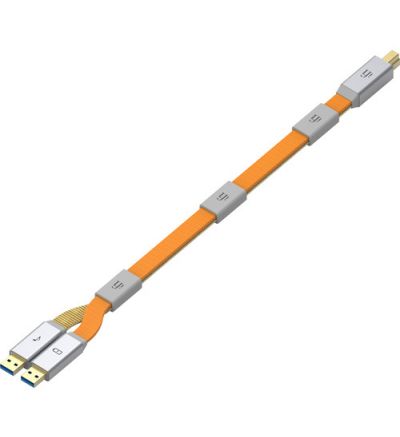 iFi AUDIO Gemini3.0 Dual-Head USB Type-B 3.0 Cable