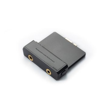 Cayin R202 Discrete R-2R / 1-bit Dual DAC Audio Motherboard