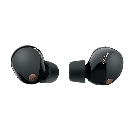 Sony WF-1000XM5 True Wireless Noise Cancelling Earphones